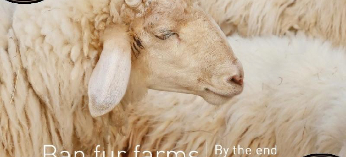 Ban fur farms