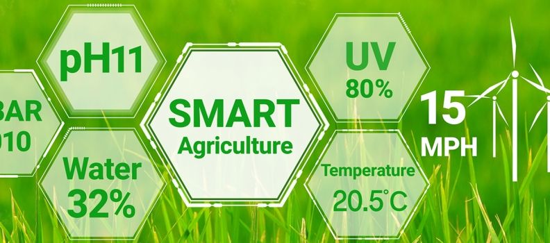 How  Biosensors  Uses  in  Agriculture